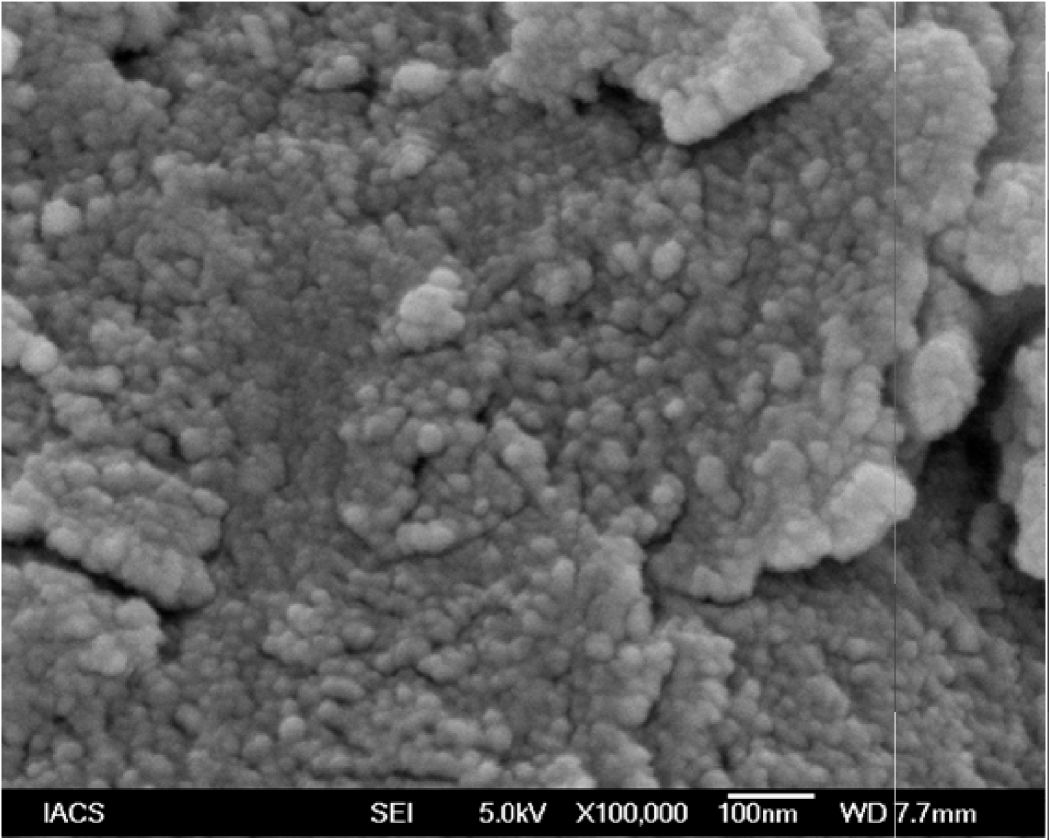 Fig 3. FESEM micrographs of the synthesized ZnS nanoparticles.